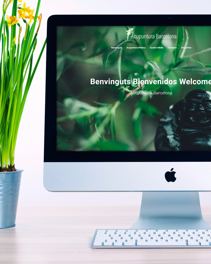 Acupuntura Barcelona
